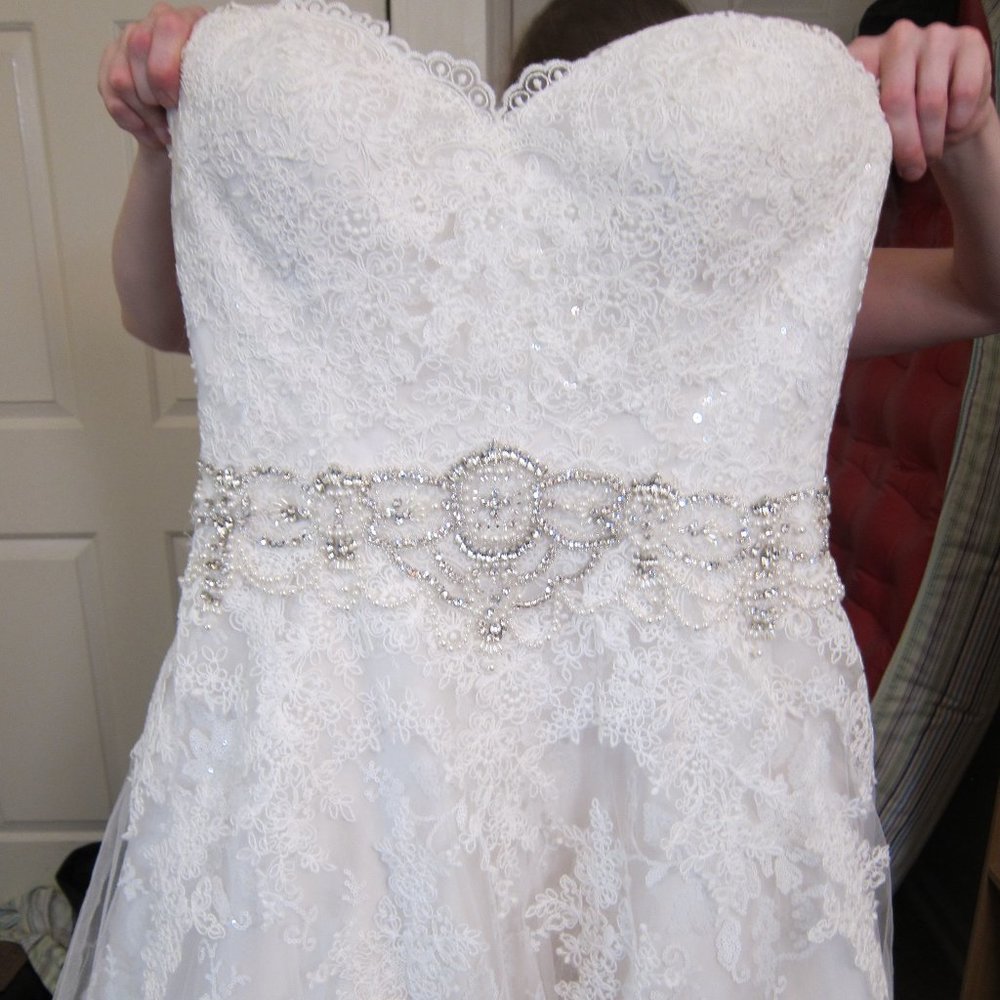 Justin Alexander Signature Corded Lace A-Line Gown